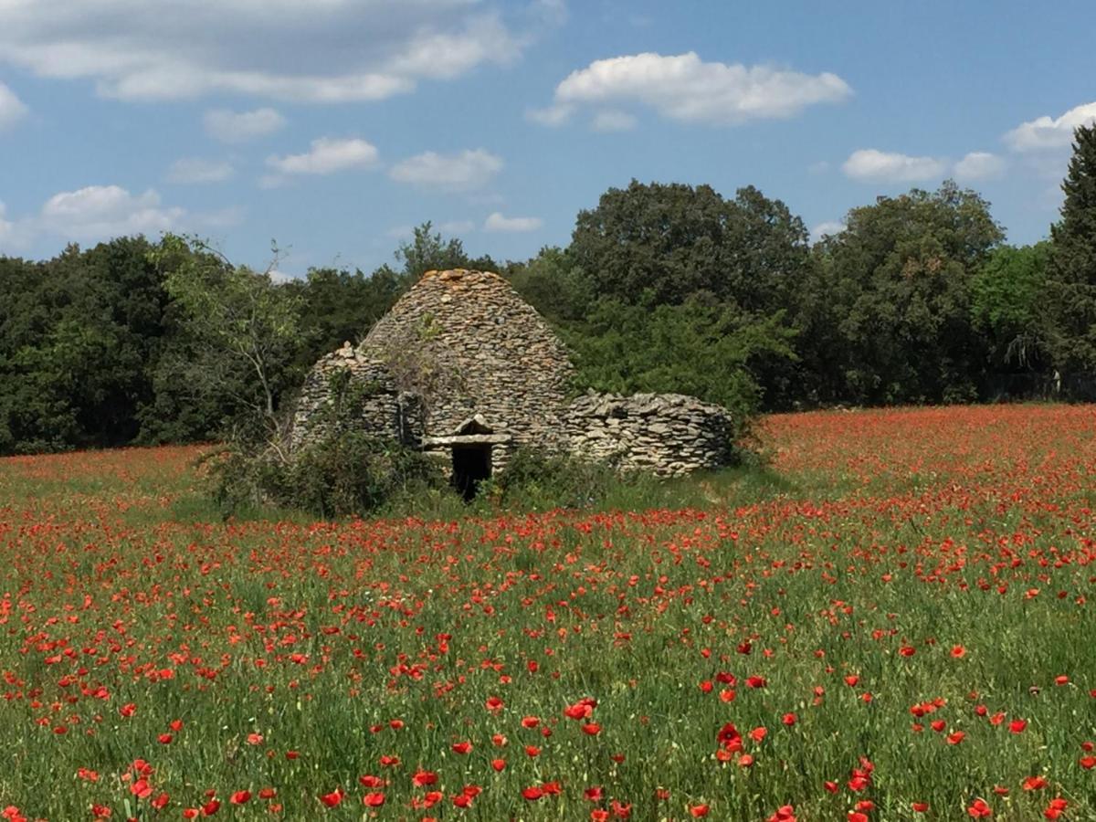 B&B Et Gite D'Ayran Saint-Quentin-la-Poterie Exterior photo